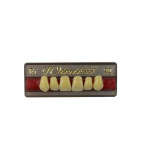 Estetic zęby akrylowe przednie górne fason 20, kolor R3, 6 szt.