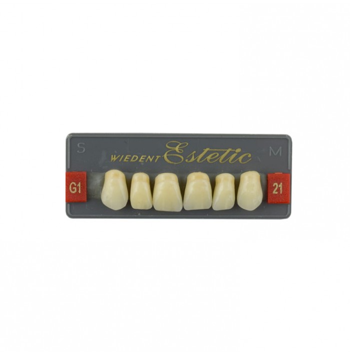 Estetic zęby akrylowe przednie górne fason 21, kolor G1, 6 szt.