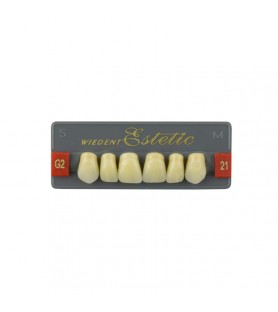 Estetic zęby akrylowe przednie górne fason 21, kolor G2, 6 szt.
