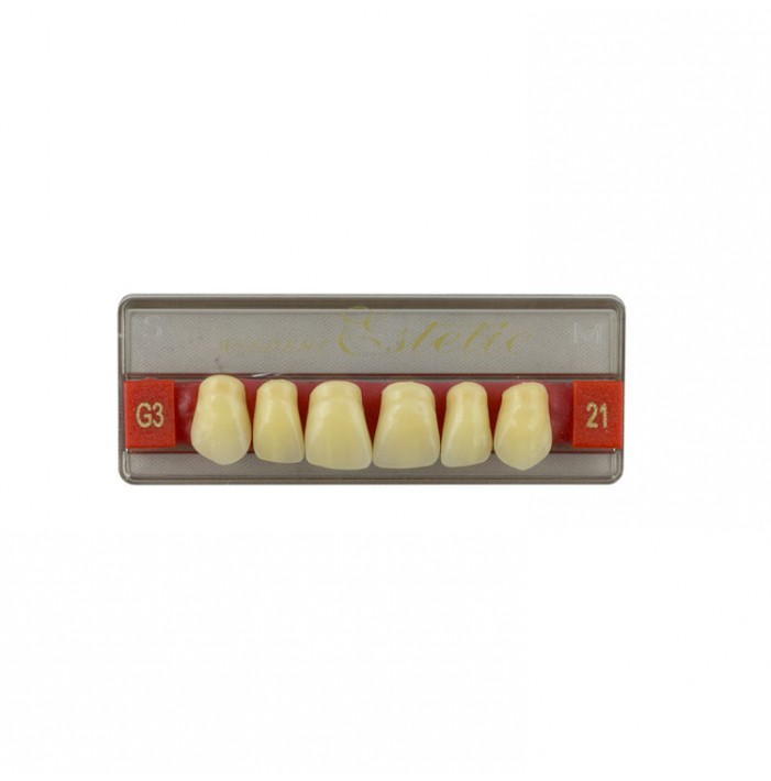 Estetic zęby akrylowe przednie górne fason 21, kolor G3, 6 szt.