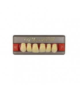 Estetic zęby akrylowe przednie górne fason 21, kolor N2, 6 szt.