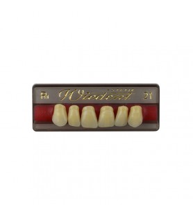 Estetic zęby akrylowe przednie górne fason 21, kolor R1, 6 szt.