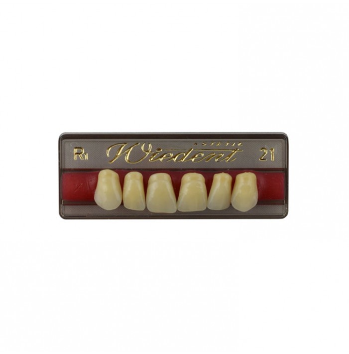 Estetic zęby akrylowe przednie górne fason 21, kolor R1, 6 szt.