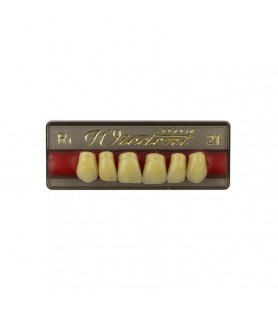 Estetic zęby akrylowe przednie górne fason 21, kolor R3, 6 szt.