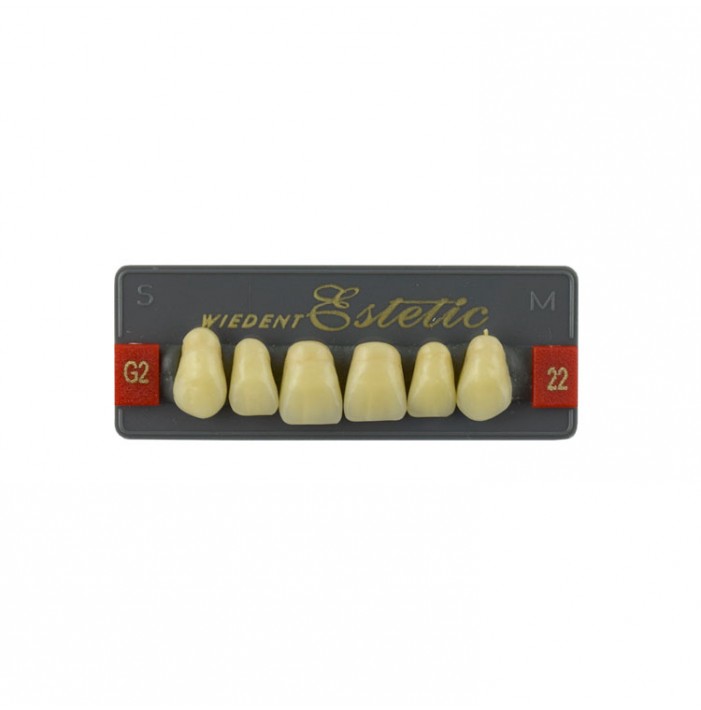 Estetic zęby akrylowe przednie górne fason 22, kolor G2, 6 szt.