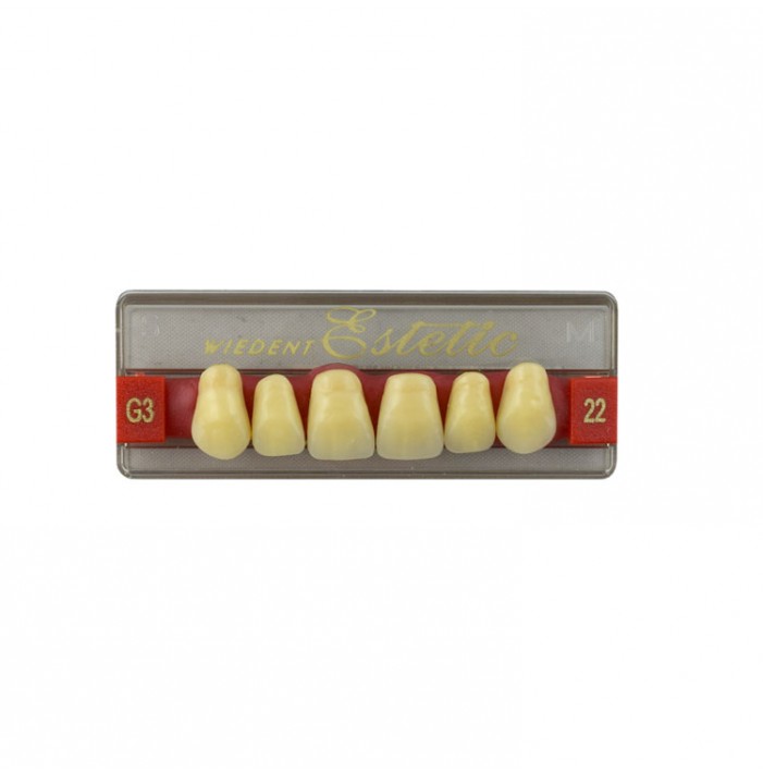 Estetic zęby akrylowe przednie górne fason 22, kolor G3, 6 szt.