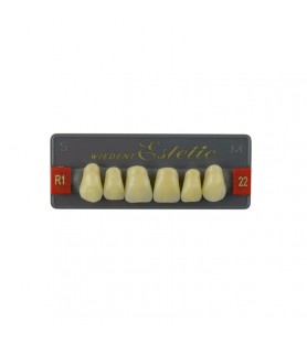 Estetic zęby akrylowe przednie górne fason 22, kolor R1, 6 szt.