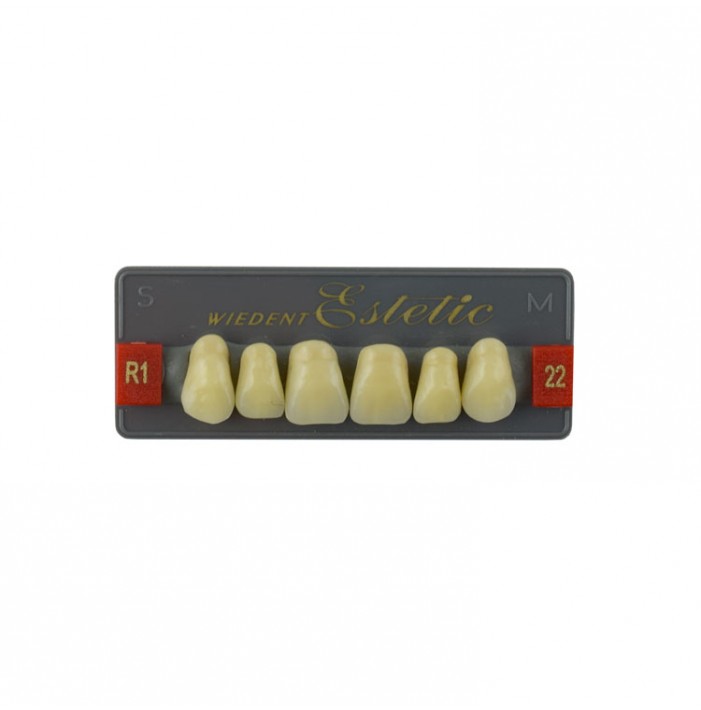 Estetic zęby akrylowe przednie górne fason 22, kolor R1, 6 szt.