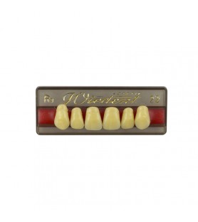Estetic zęby akrylowe przednie górne fason 22, kolor R3, 6 szt.