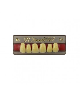Estetic zęby akrylowe przednie górne fason 22, kolor R5, 6 szt.