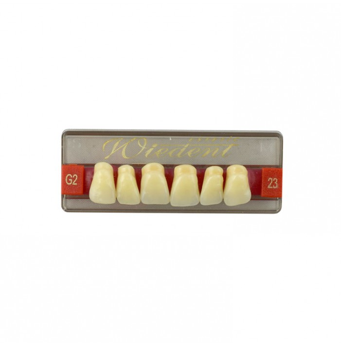Estetic zęby akrylowe przednie górne fason 23, kolor G2, 6 szt.