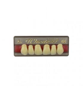 Estetic zęby akrylowe przednie górne fason 48, kolor G3, 6 szt.