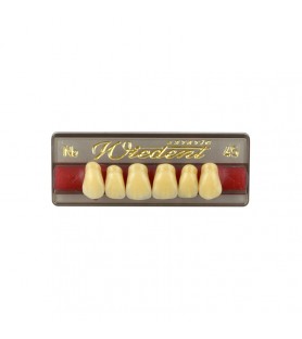 Estetic zęby akrylowe przednie górne fason 45, kolor N2, 6 szt.