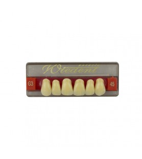 Estetic zęby akrylowe przednie górne fason 45, kolor G3, 6 szt.