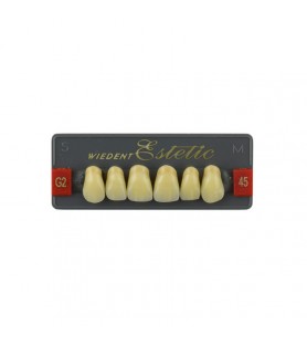 Estetic zęby akrylowe przednie górne fason 45, kolor G2, 6 szt.