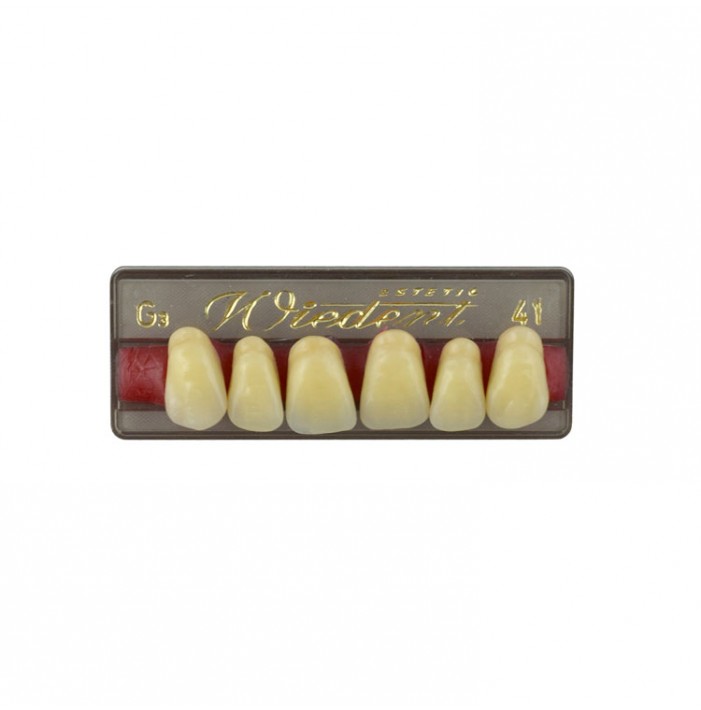 Estetic zęby akrylowe przednie górne fason 41, kolor G3, 6 szt.