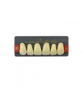 Estetic zęby akrylowe przednie górne fason 41, kolor G1, 6 szt.
