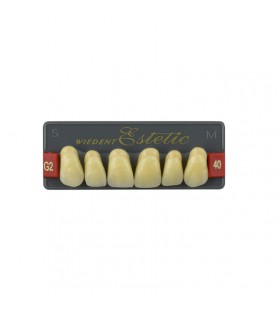Estetic zęby akrylowe przednie górne fason 40, kolor G2, 6 szt.