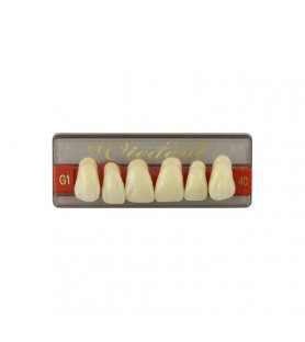 Estetic zęby akrylowe przednie górne fason 40, kolor G1, 6 szt.