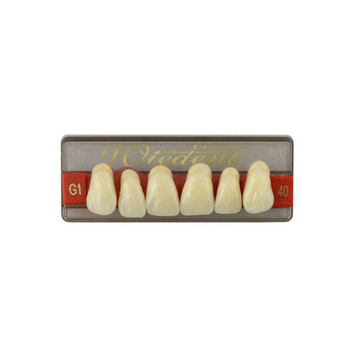 Estetic zęby akrylowe przednie górne fason 40, kolor G1, 6 szt.