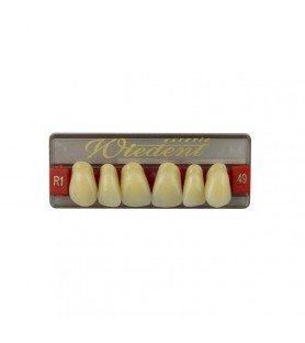 Estetic zęby akrylowe przednie górne fason 49, kolor R1, 6 szt.