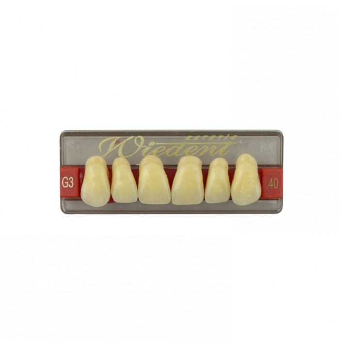 Estetic zęby akrylowe przednie górne fason 40, kolor G3, 6 szt.