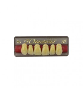 Estetic zęby akrylowe przednie górne fason 37, kolor R5, 6 szt.