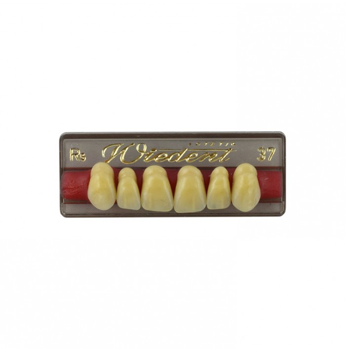 Estetic zęby akrylowe przednie górne fason 37, kolor R5, 6 szt.