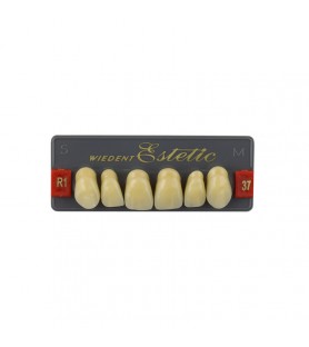 Estetic zęby akrylowe przednie górne fason 37, kolor R1, 6 szt.
