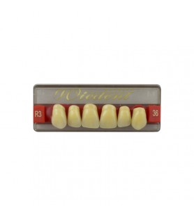 Estetic zęby akrylowe przednie górne fason 36, kolor R3, 6 szt.