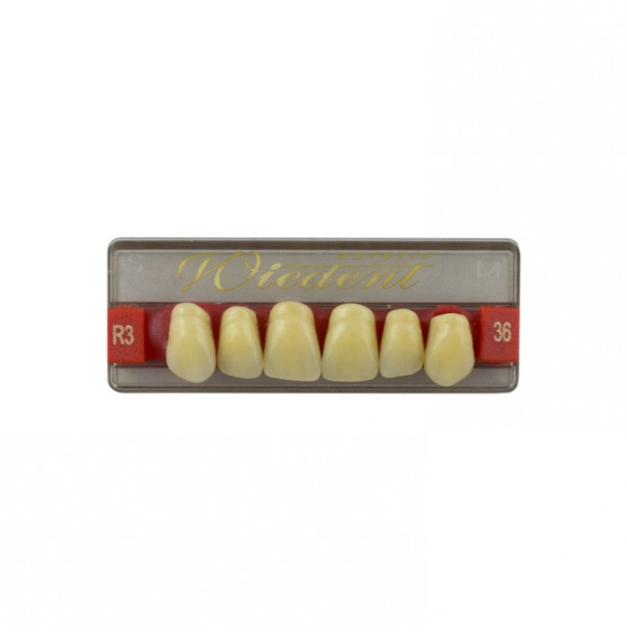 Estetic zęby akrylowe przednie górne fason 36, kolor R3, 6 szt.