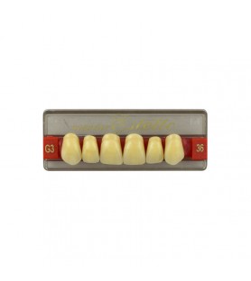 Estetic zęby akrylowe przednie górne fason 36, kolor G3, 6 szt.
