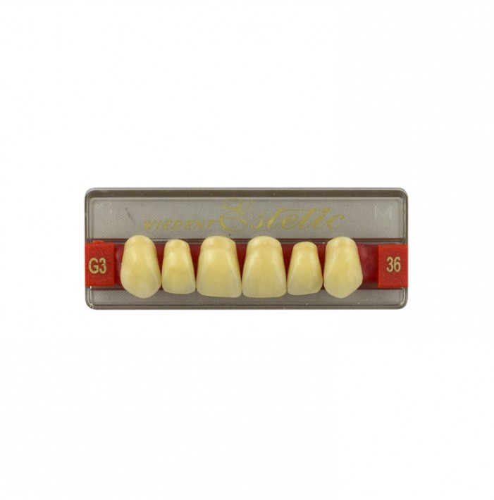 Estetic zęby akrylowe przednie górne fason 36, kolor G3, 6 szt.