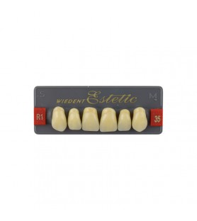 Estetic zęby akrylowe przednie górne fason 35, kolor R1, 6 szt.
