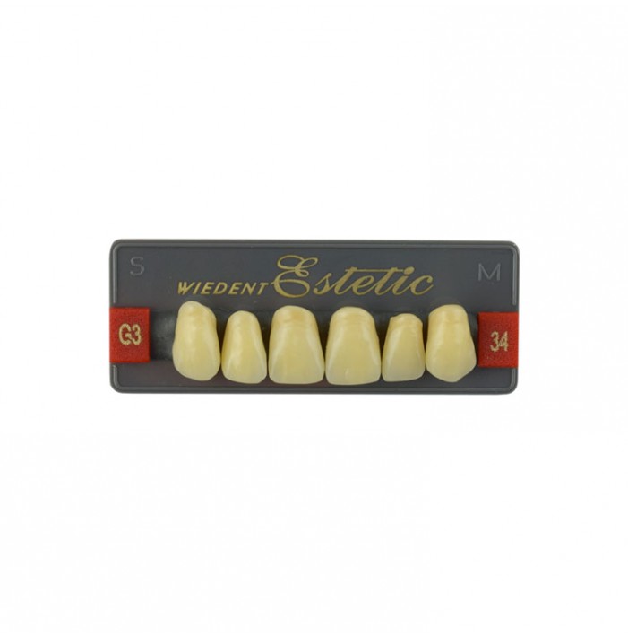 Estetic zęby akrylowe przednie górne fason 34, kolor G3, 6 szt.