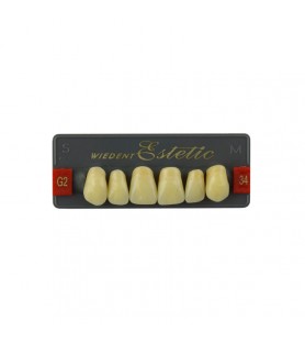 Estetic zęby akrylowe przednie górne fason 34, kolor G2, 6 szt.