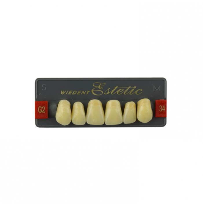 Estetic zęby akrylowe przednie górne fason 34, kolor G2, 6 szt.