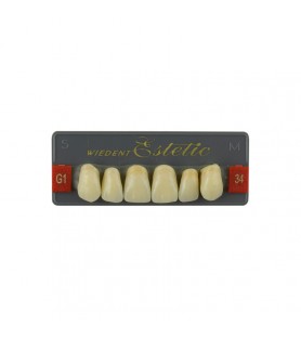 Estetic zęby akrylowe przednie górne fason 34, kolor G1, 6 szt.