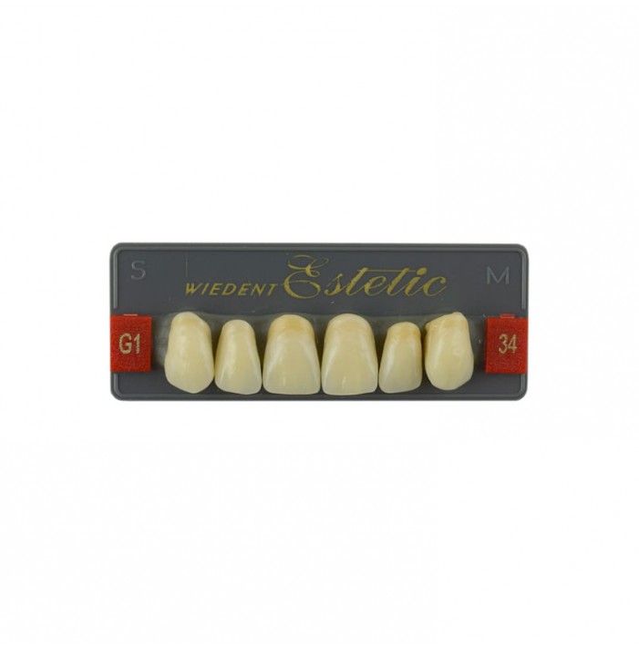 Estetic zęby akrylowe przednie górne fason 34, kolor G1, 6 szt.