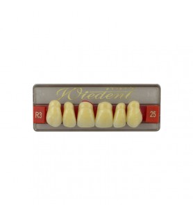 Estetic zęby akrylowe przednie górne fason 25, kolor R3, 6 szt.