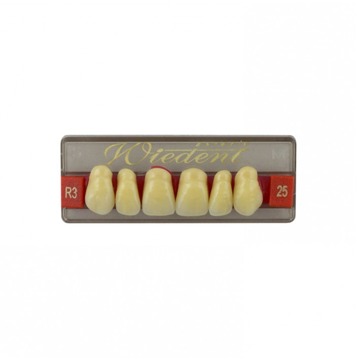 Estetic zęby akrylowe przednie górne fason 25, kolor R3, 6 szt.