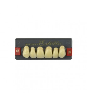 Estetic zęby akrylowe przednie górne fason 26, kolor G1, 6 szt.