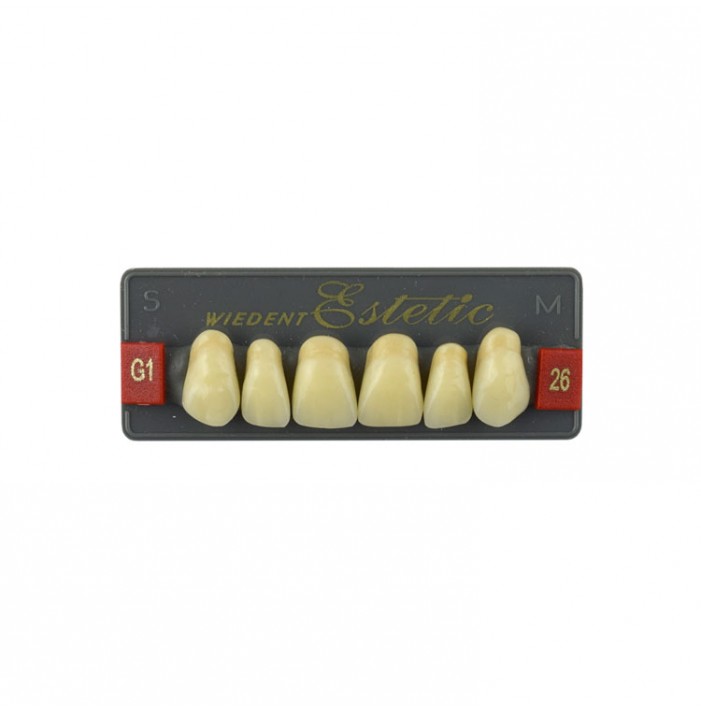 Estetic zęby akrylowe przednie górne fason 26, kolor G1, 6 szt.