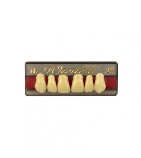 Estetic zęby akrylowe przednie górne fason 26, kolor N2, 6 szt.