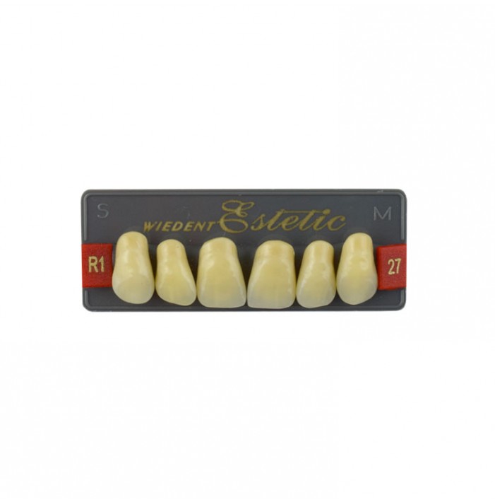 Estetic zęby akrylowe przednie górne fason 27, kolor R1, 6 szt.
