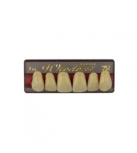Estetic zęby akrylowe przednie górne fason 28, kolor G3, 6 szt.