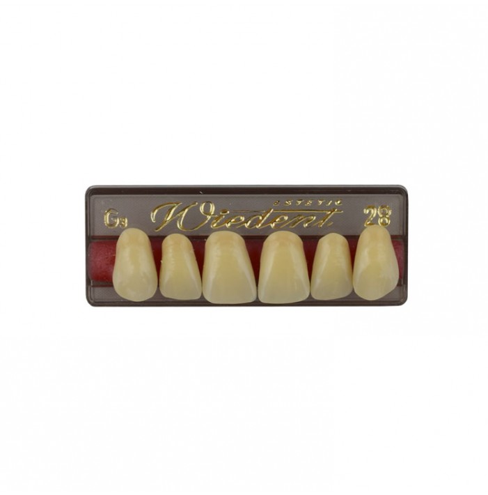 Estetic zęby akrylowe przednie górne fason 28, kolor G3, 6 szt.