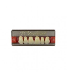 Estetic zęby akrylowe przednie górne fason 31, kolor G1, 6 szt.
