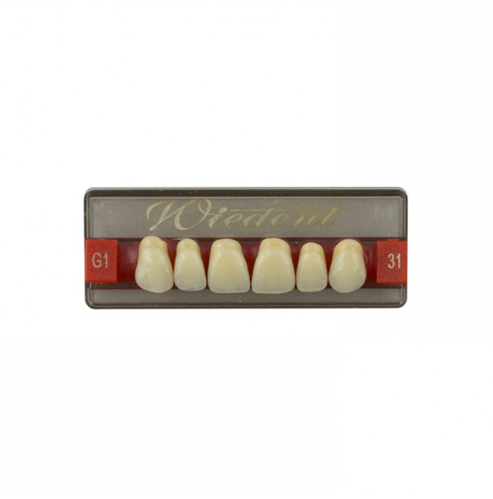 Estetic zęby akrylowe przednie górne fason 31, kolor G1, 6 szt.