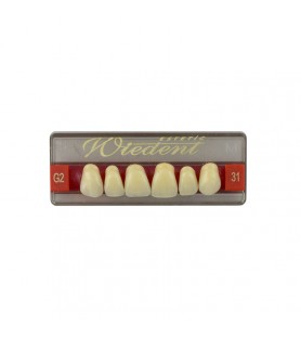 Estetic zęby akrylowe przednie górne fason 31, kolor G2, 6 szt.